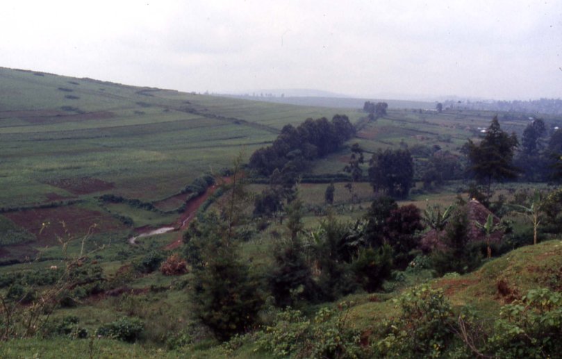 contrastes de l'occupation du sol : limite du pays massai à gauche et kikuyu à droite