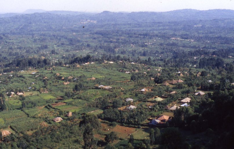 Occupation en pays kikuyu