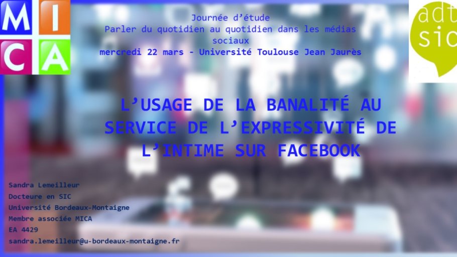 Lemeilleur-Medias sociaux-Toulouse 2017-01.JPG