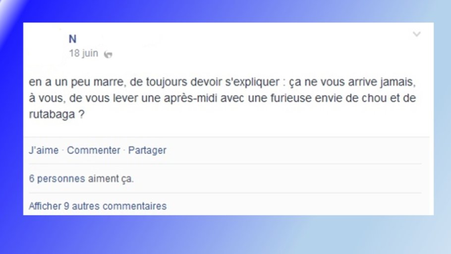 Lemeilleur-Medias sociaux-Toulouse 2017-11.JPG