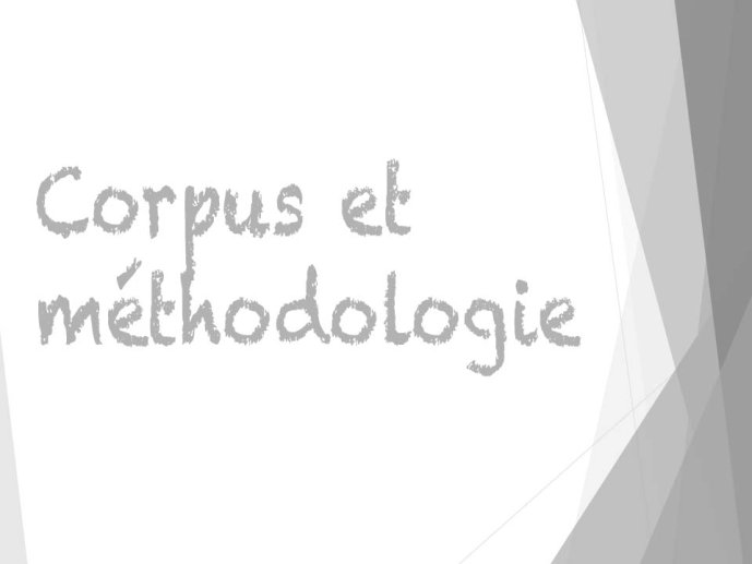 Ducos-Parler dans medias sociaux-Toulouse-05.jpg