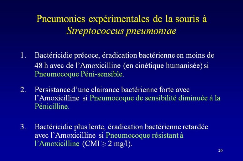 Diapositive20