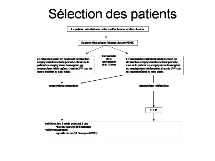 Diapositive27