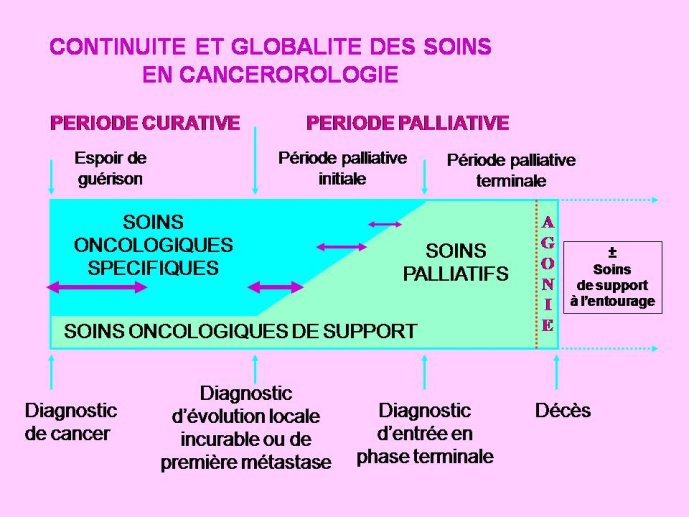 Diapositive44