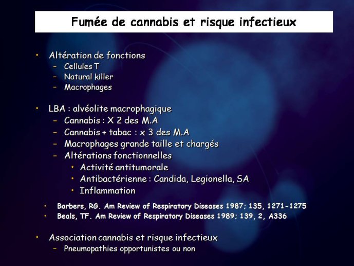 Diapositive35