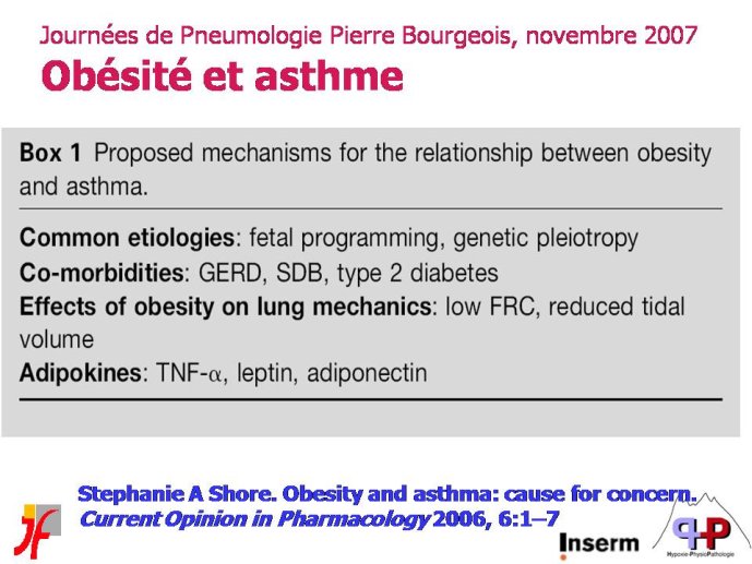 Diapositive12