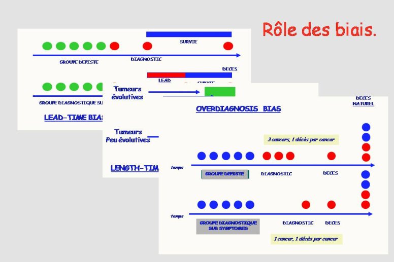 Diapositive11