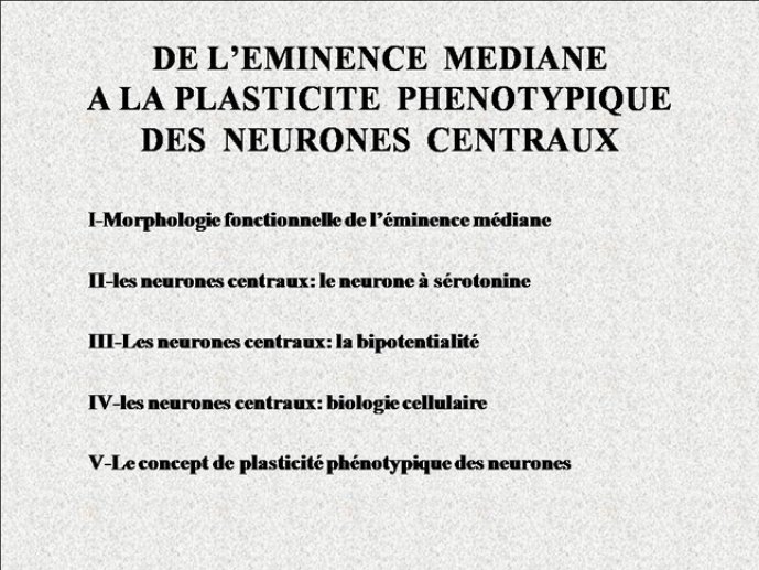 Diapositive1