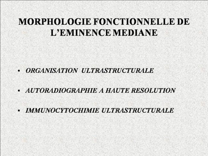 Diapositive5