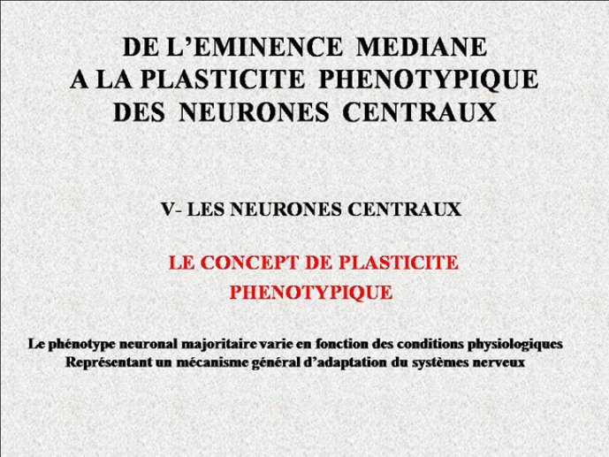 Diapositive32
