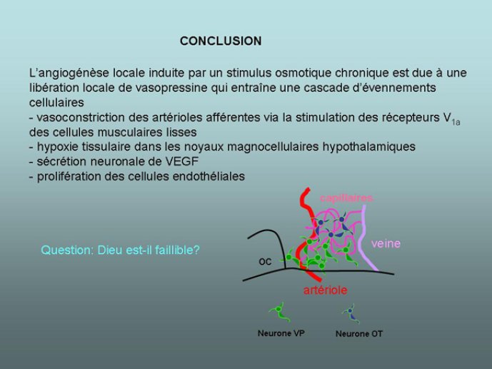 Diapositive18