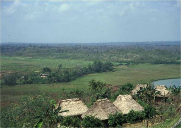 Relique de forêt et structure agricole au Petén