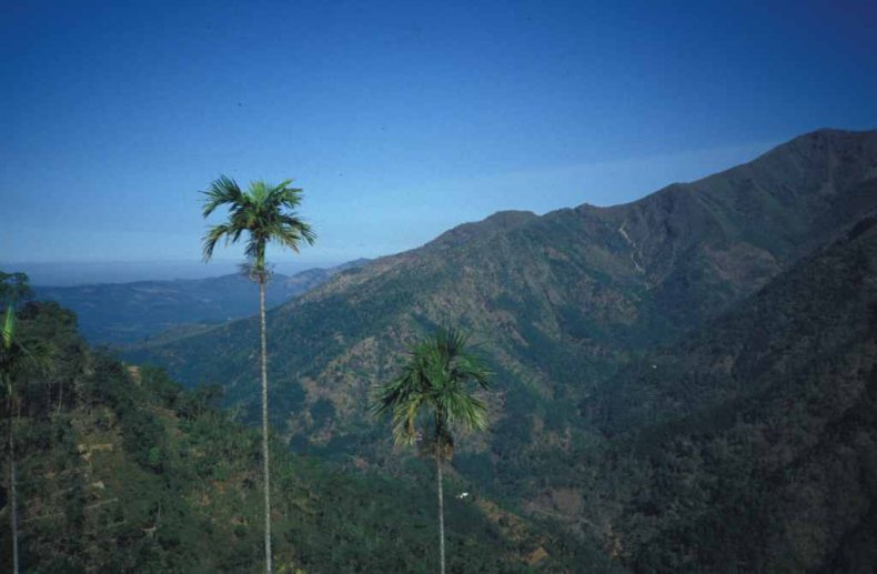 Paysage de montagne du Kerala – photo : S.Guillerme