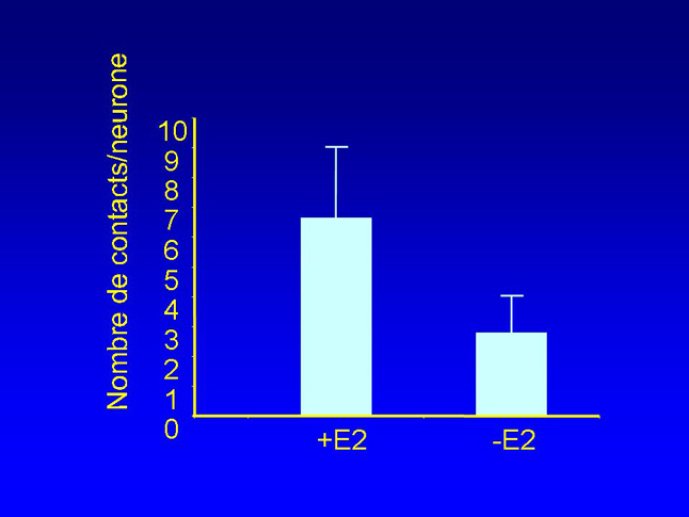 Diapositive13