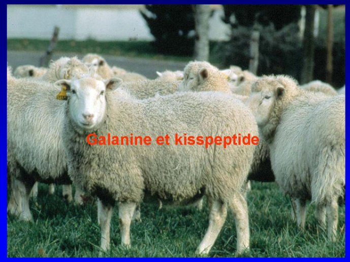 Diapositive15