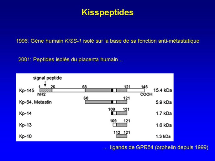 Diapositive16