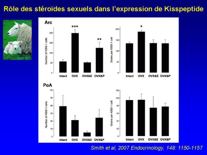 Diapositive18