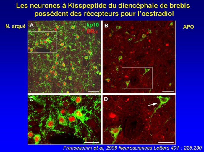 Diapositive21