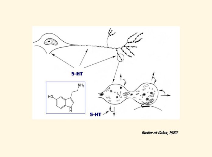 Diapositive3