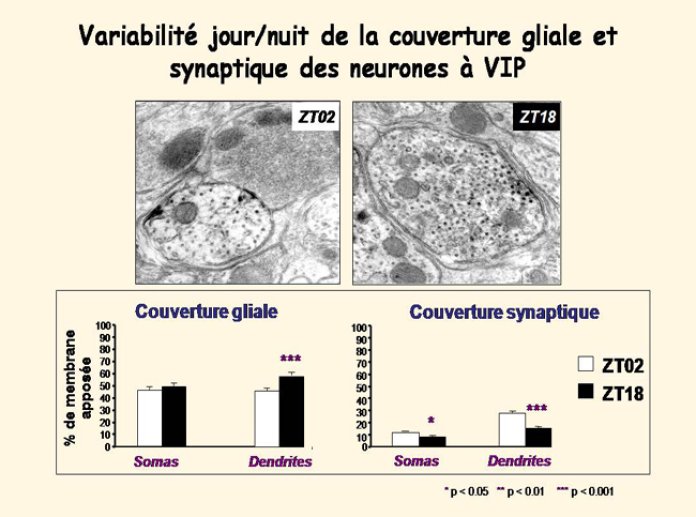 Diapositive23