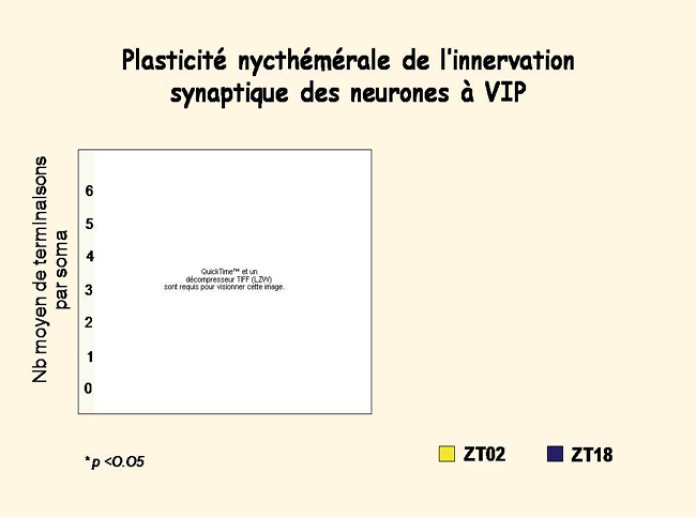 Diapositive31