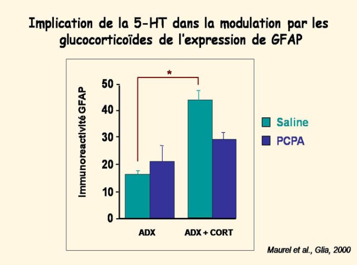 Diapositive44