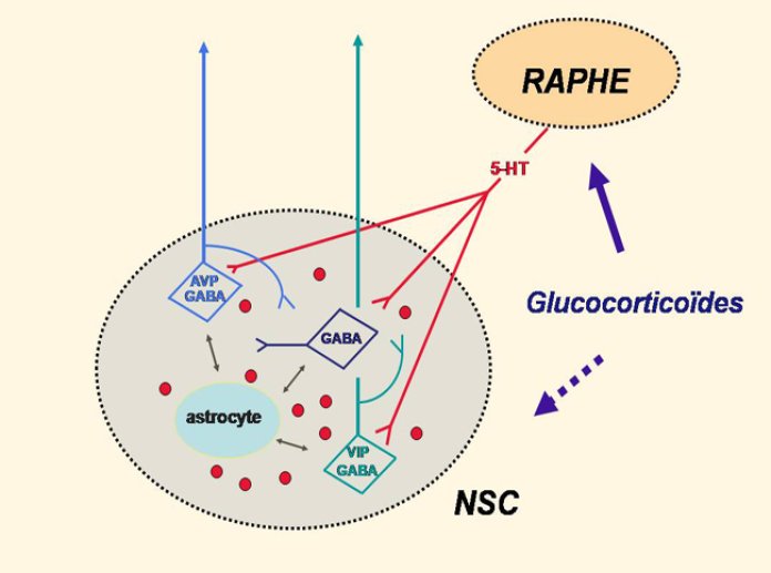 Diapositive45