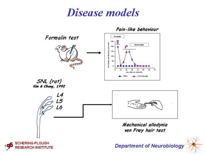 Diapositive8_2