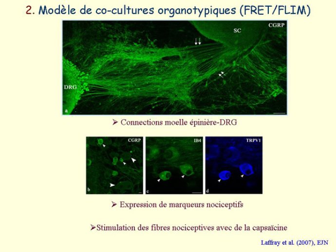 Diapositive9