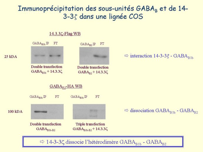 Diapositive18