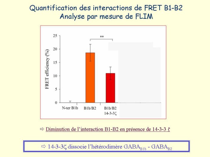 Diapositive22