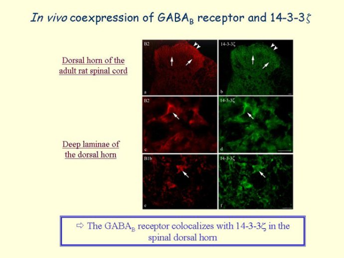 Diapositive47