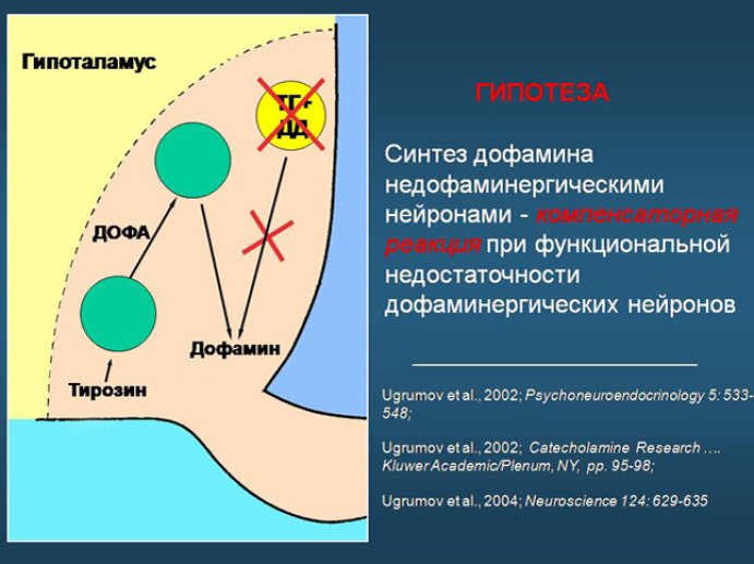 Diapositive19