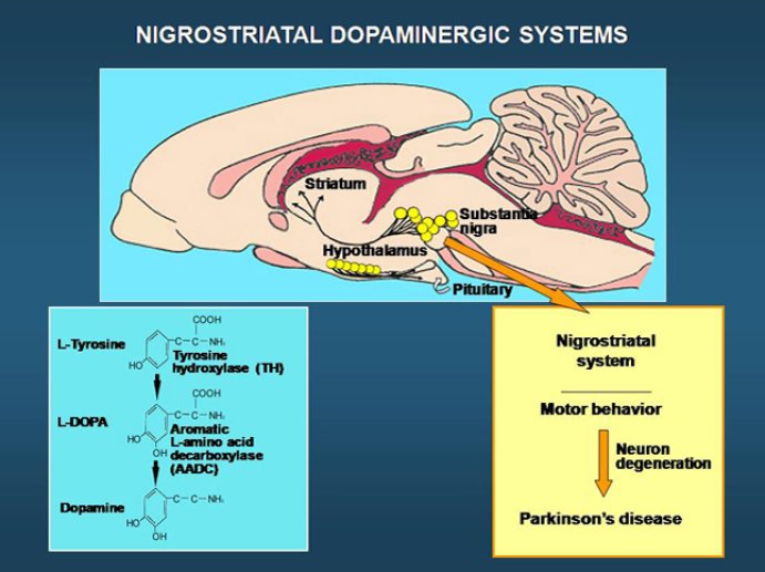 Diapositive22