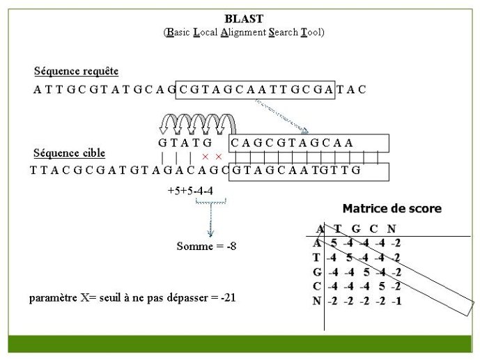 Diapositive24