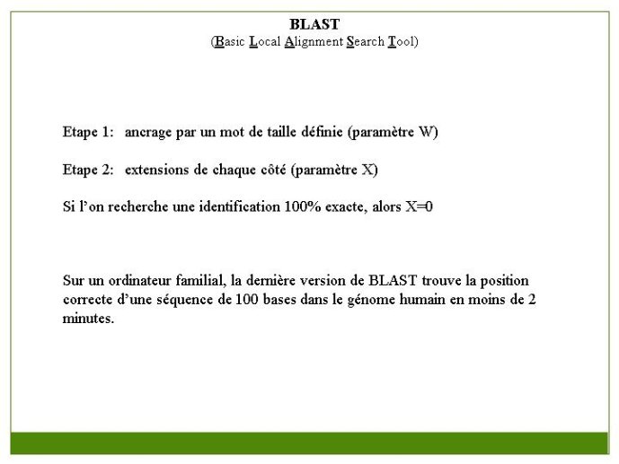 Diapositive25