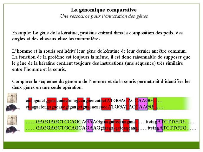 Diapositive29