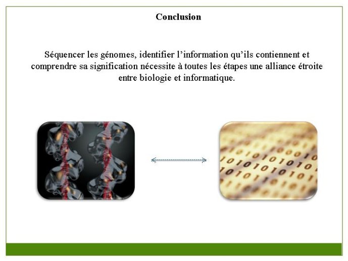 Diapositive39