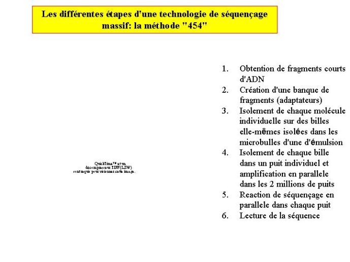 Diapositive49