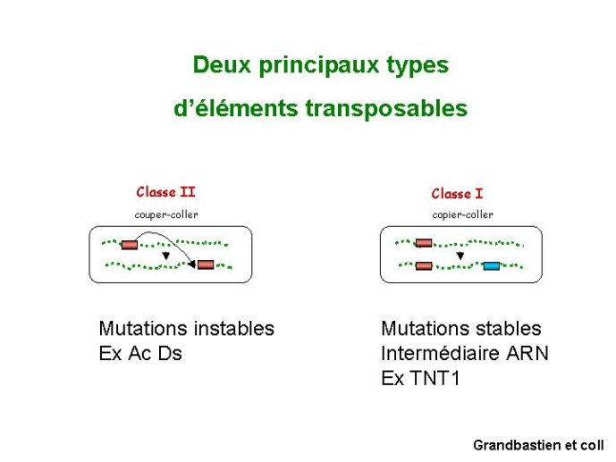 Diapositive34