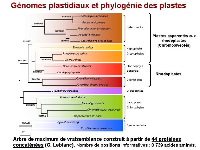 Diapositive23