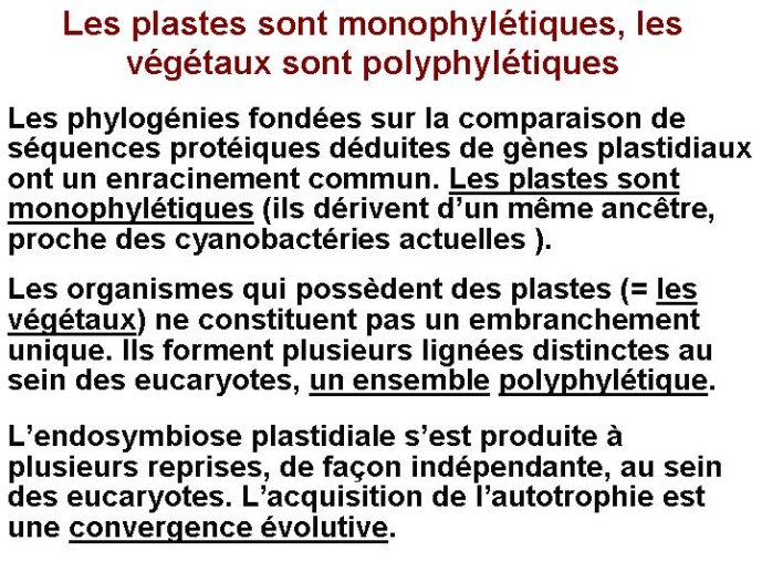 Diapositive25