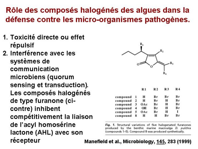 Diapositive46