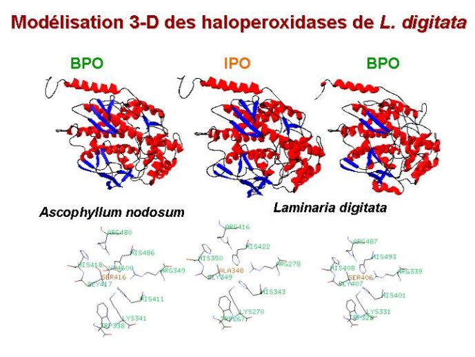 Diapositive49