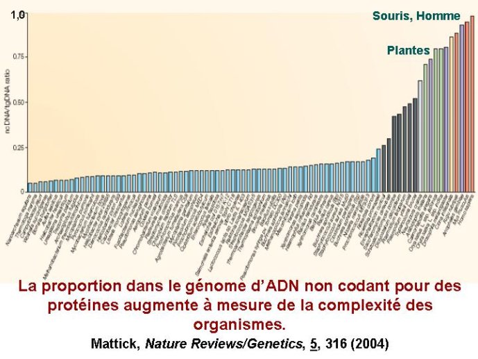 Diapositive54