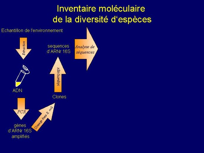 Diapositive18