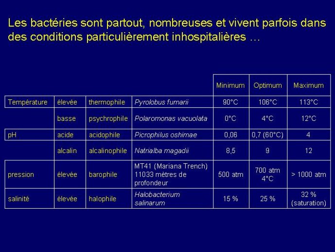 Diapositive21