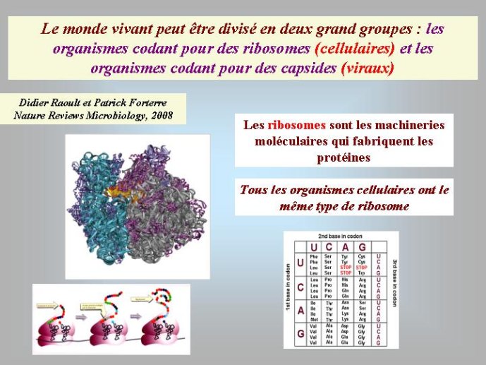 Diapositive14