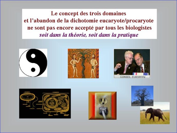 Diapositive23