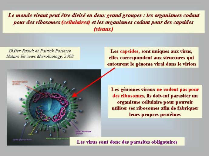 Diapositive26